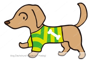 ミニチュアダックスフンドの犬服 ディズニーコラボ サイズは Hotdog ミニチュアダックスフンドブログ