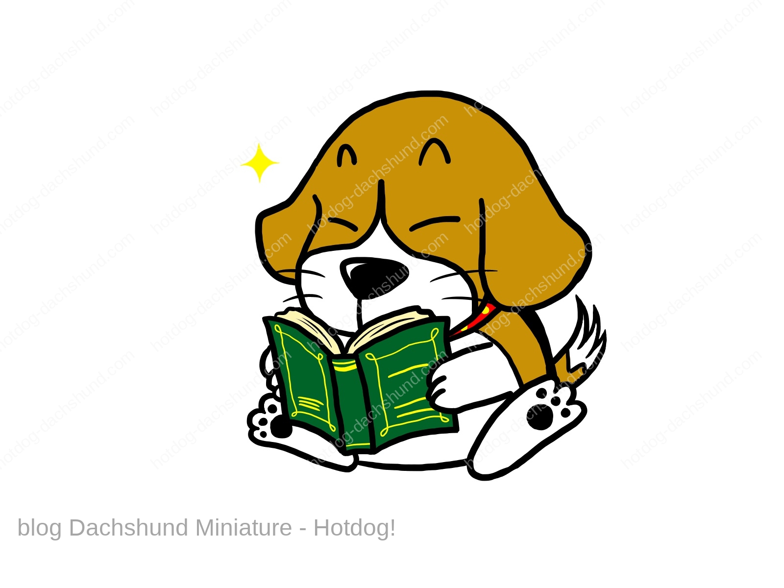 愛犬家におすすめの人気犬漫画ランキング情報は Hotdog ミニチュアダックスフンドブログ
