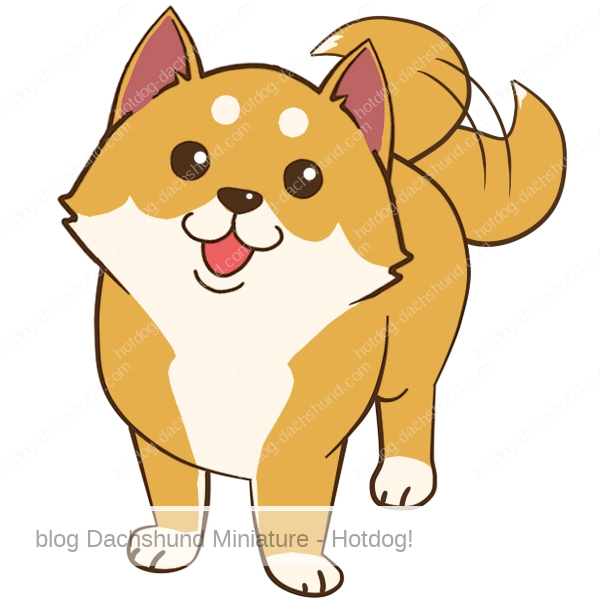 犬のカーミングシグナル一覧は 目や耳や尻尾など Hotdog