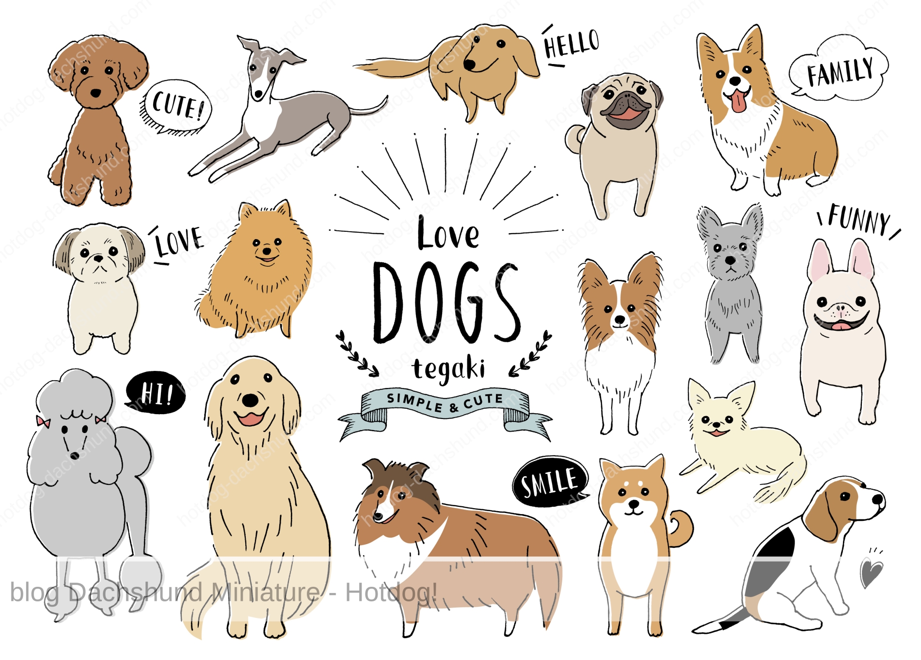 飼いやすい小型犬の種類 名前 と特徴ランキングトップ10 Hotdog ミニチュアダックスフンドブログ
