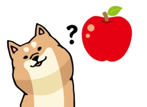 犬はりんごを食べれるの 与えても良い量は Hotdog ミニチュアダックスフンドブログ