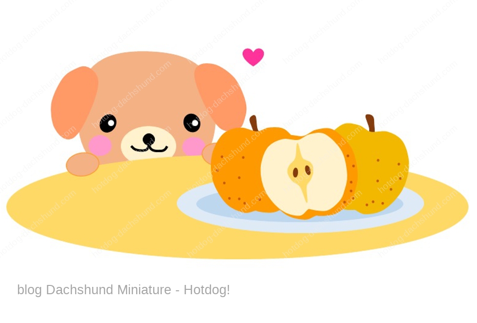 犬は梨を食べても大丈夫 食べれるか 皮の部分は Hotdog ミニチュアダックスフンドブログ